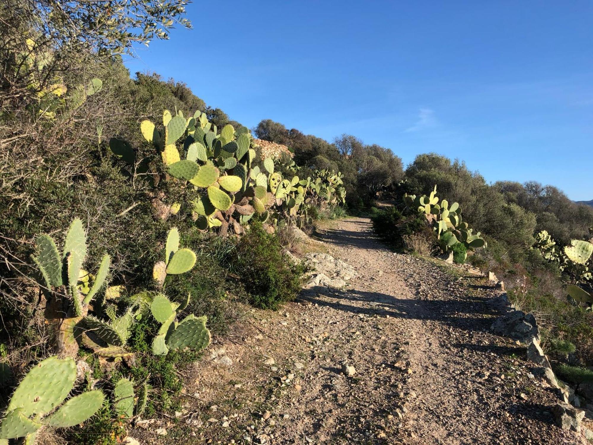 La Corse Authentique Et Rurale Appartement *