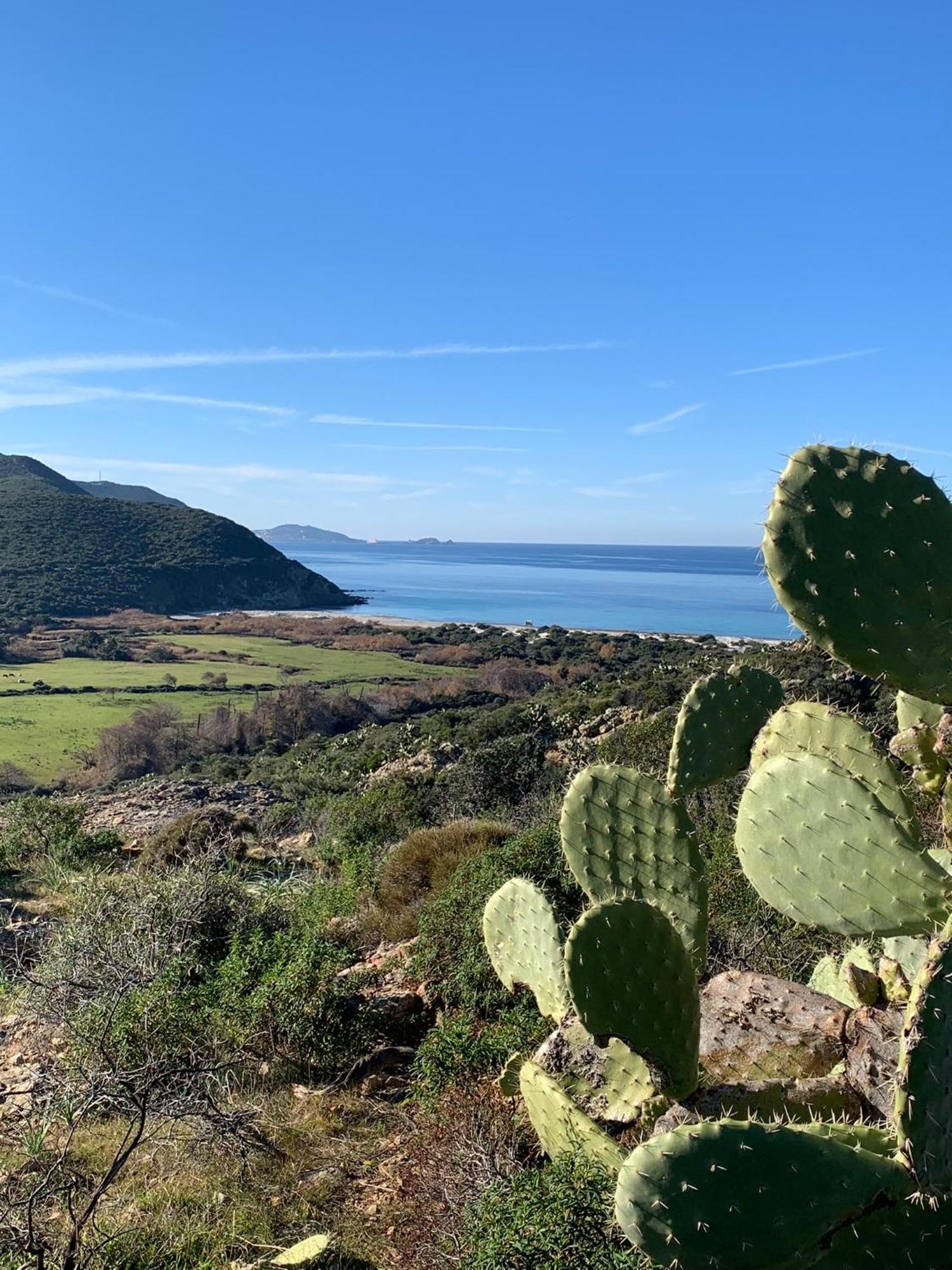 La Corse Authentique Et Rurale Appartement Castifao