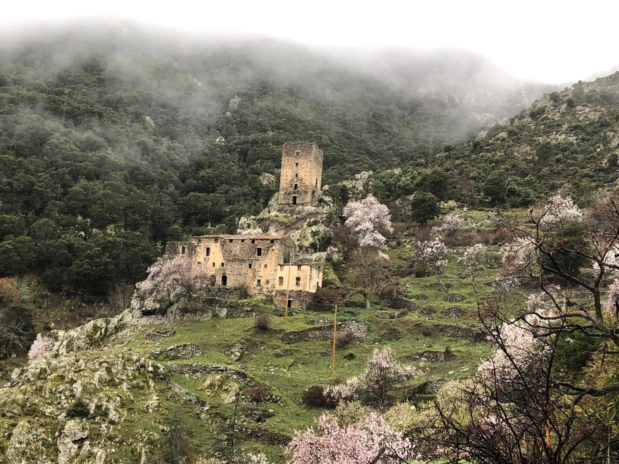La Corse Authentique Et Rurale