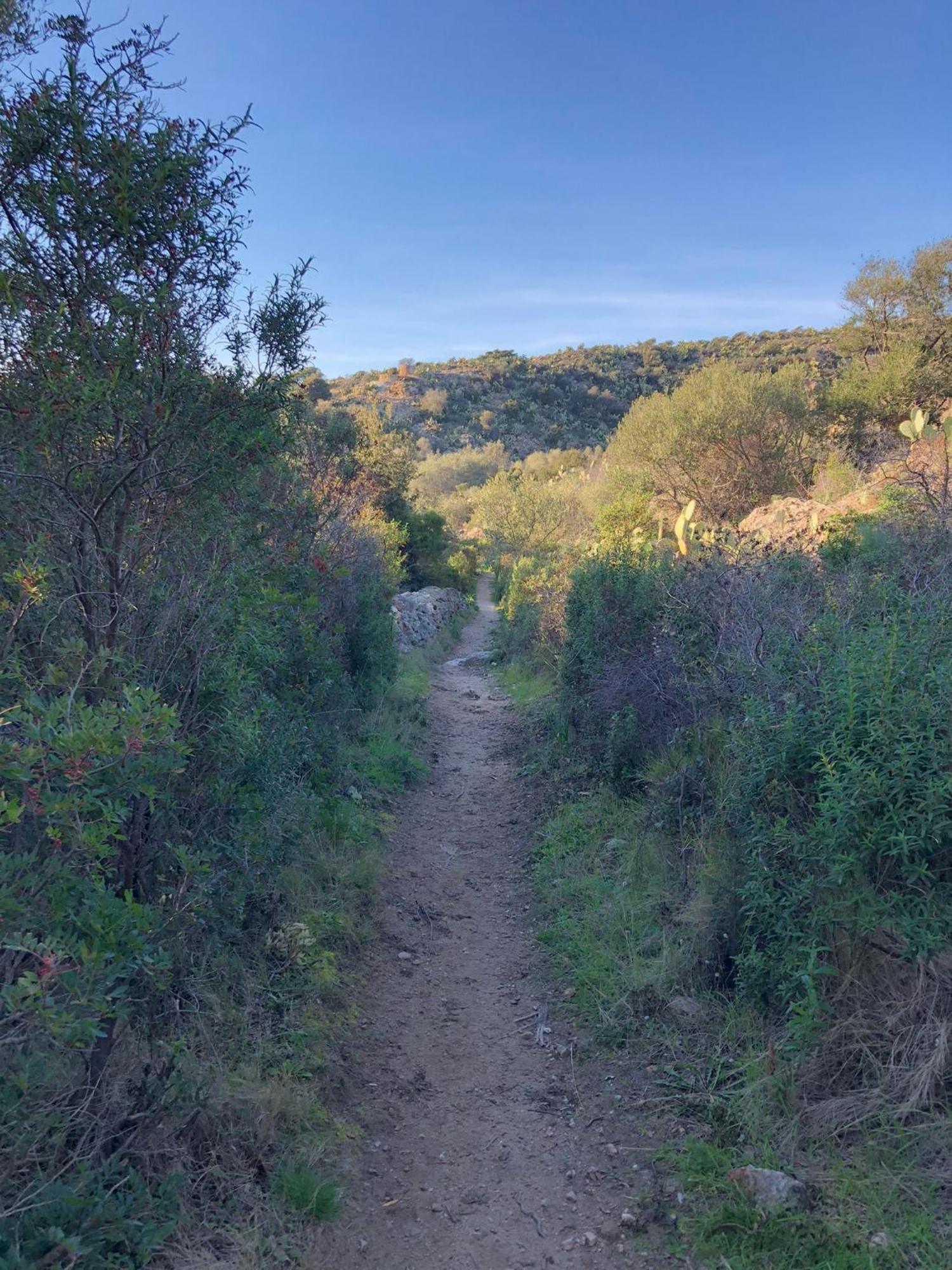 La Corse Authentique Et Rurale