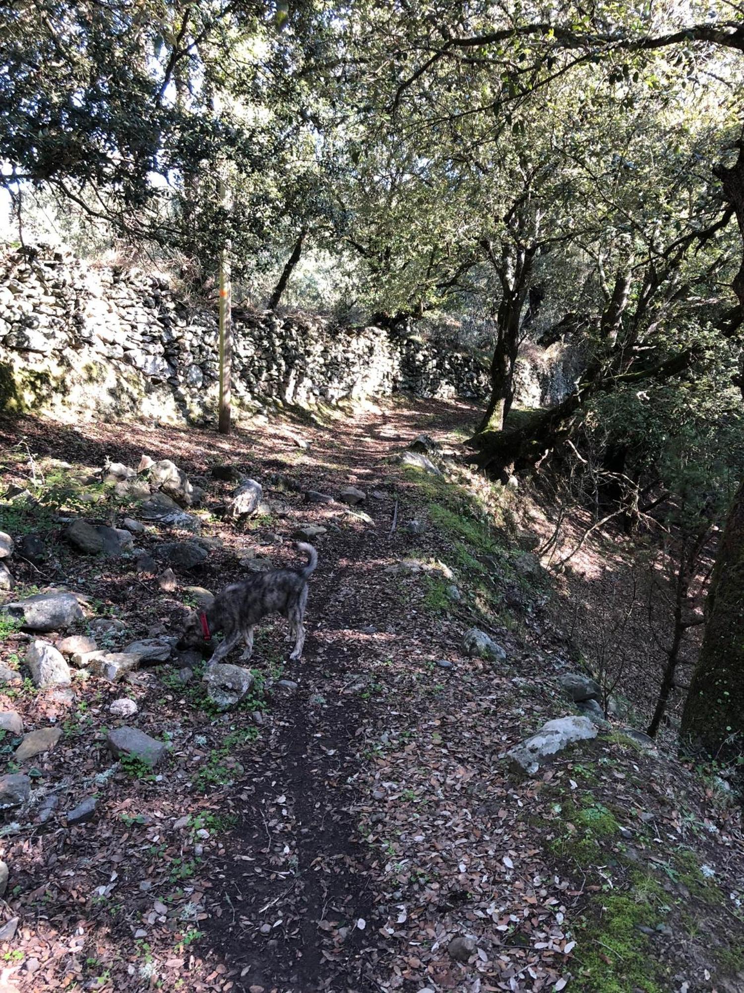 La Corse Authentique Et Rurale *