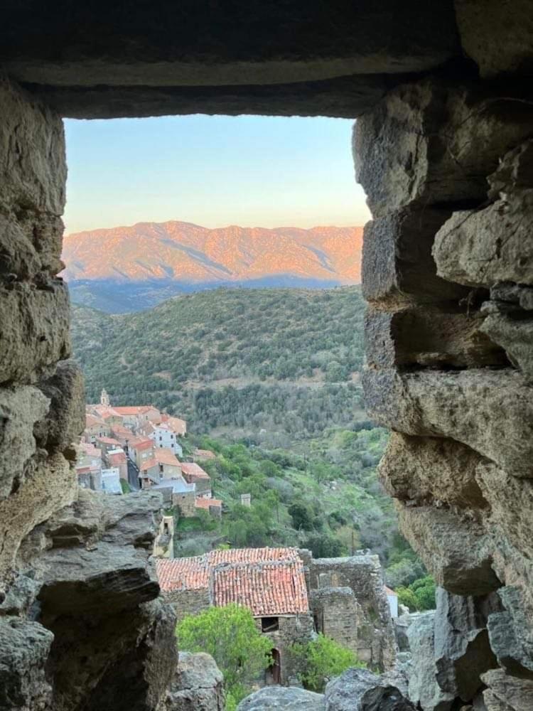 Apartamento La Corse Authentique Et Rurale