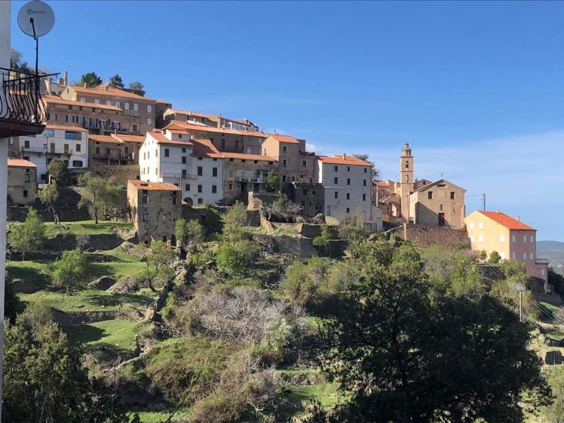 La Corse Authentique Et Rurale Castifao